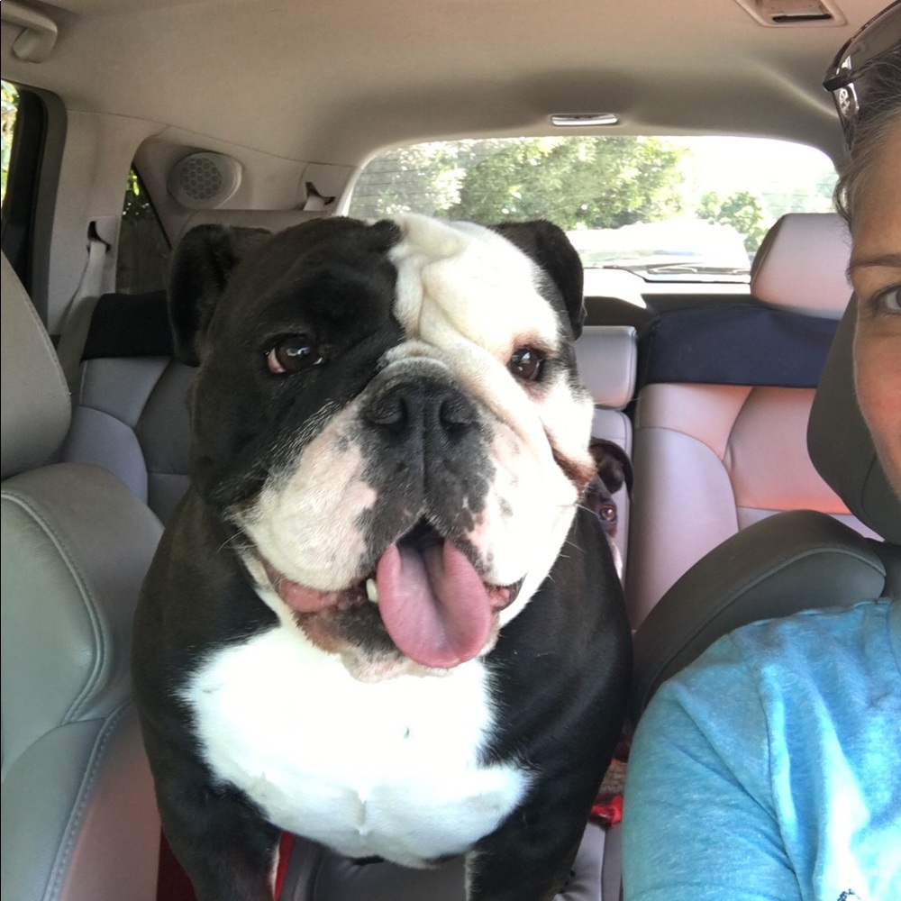 Meet your Posher, Dayna